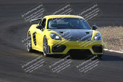 media/Oct-14-2023-West Coast Racing (Sat) [[6853f17b7b]]/Blue Group/Session 1 (Turn 3)/